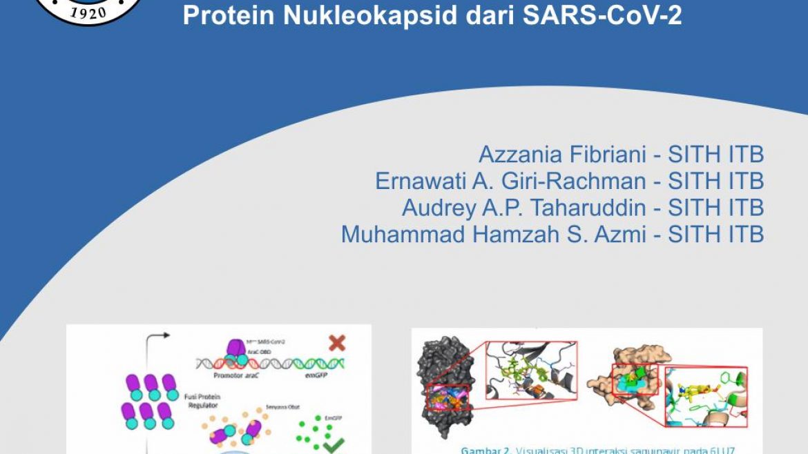 Pengembangan Sistem Seleksi Kandidat Obat Penghambat Dimerisasi Main Protease (Mpro) dan C-Terminal Domain (CTD) Protein Nukleokapsid dari SARS-CoV-2