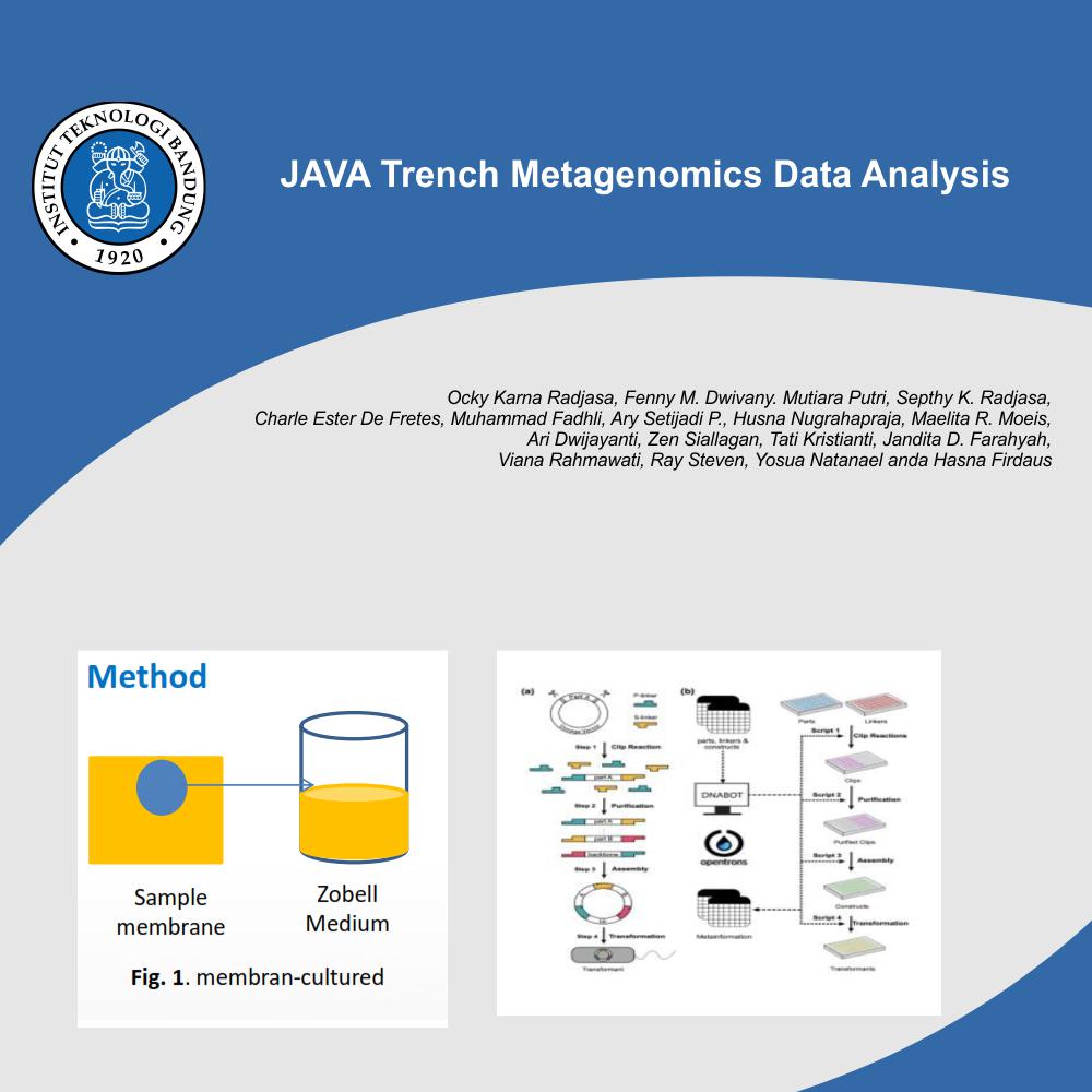 JAVA Trench Metagenomic Data Analysis
